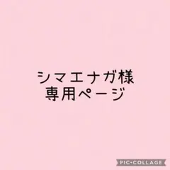 シマエナガ様専用ページ