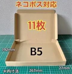 【11枚】新規定B5サイズ　ネコポス、クリックポスト・ゆうパケット対応