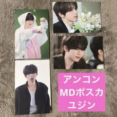 zb1 アンコン MD ポストカード ポスカ ユジン グッズ ゼベワン ソウル