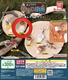 【新品未使用】なめこ栽培キット めじるしアクセサリー2 長なめこ