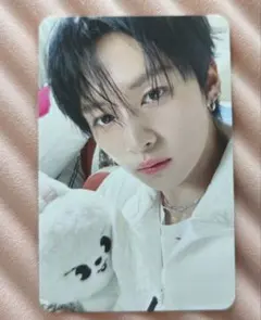 Straykids リノ ペンミ STAYZONE 4/5 - メルカリ
