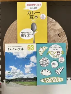 山口 広島 シティ本 ミニ