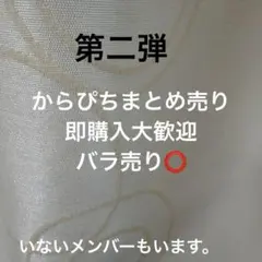 からぴちまとめ売り