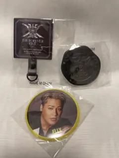 三代目 ELLY スタジアム 缶バッジ フォンタブ ステッカー ガチャ