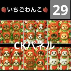 犬パネル生地　6柄セット　CKパネル