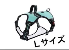 Item thumbnail for item 3909b3e0-ef98-4f77-ab32-b6cd4113405b