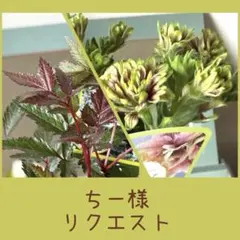 ちー様　リクエスト　おまとめ２点