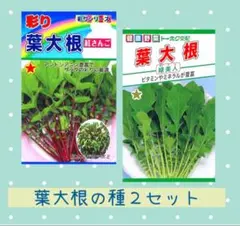 やんだくん様 リクエスト 3点 まとめ商品