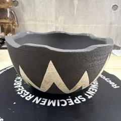 2026年最新】パキプス 鉢の人気アイテム - メルカリ