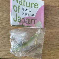 Nature of Japan 日本のいきものvol.03 アユ