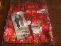 Item thumbnail for item c60a3c99-8edf-425e-a637-abbbdd663dd2