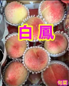 桃(日川)秀品 大玉6個 60サイズ箱入り - メルカリ