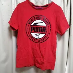 PUMA レッド Tシャツ ロゴ入り