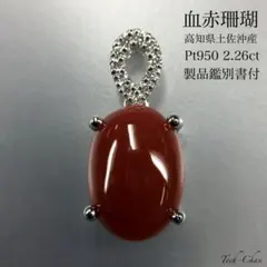 Pt950 血赤珊瑚ダイヤモンドペンダント2.26ct