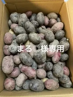 ◎まる◎様専用