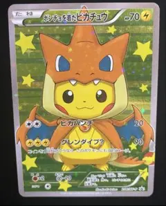 2025年最新】ポンチョを着たピカチュウ リザードンの人気