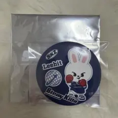 2025年最新】リービット 缶バッジの人気アイテム - メルカリ