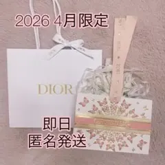 新品⭐︎最新DIOR ディオール　大サイズショッパー　限定ラッピングセット