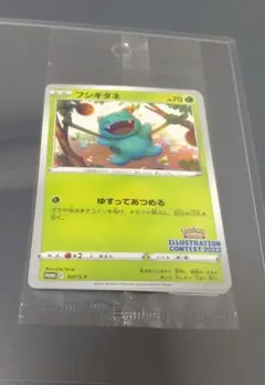 フシギダネ イラストコンテスト　未開封未使用