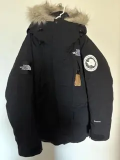 THE NORTH FACE アンタークティカパーカ