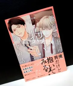 「高嶺の上司を抱いてしまった部下の話」 あおの 晴