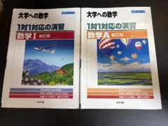 1対1対応の演習　新訂版　数1Aセット