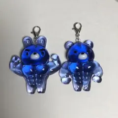 あやごん様 リクエスト 2点 まとめ商品