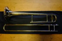 Item thumbnail for item 132797b3-8b67-4ba0-b5d1-075592e89461