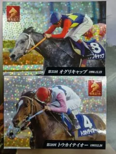 JRA中山競馬場　オグリキャップ トウカイテイオー 　ステッカー　有馬記念