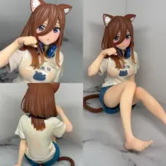 54136318_2