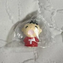 サンリオめじるしアクセサリー　みんなのたあ坊