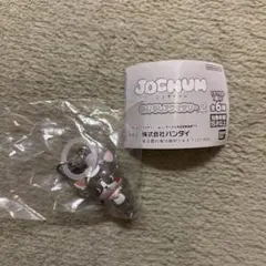 JOCHUM ジェオチャム　めじるしアクセサリー　チュララ