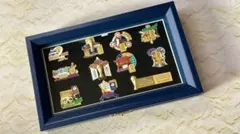 証明書付き限定品 FIFA 日韓ワールドカップ 優勝国ピンバッジセット