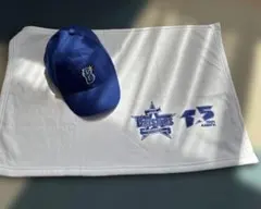 横浜DeNAベイスターズSPRING CAMP 2026 ハット L/XL - メルカリ