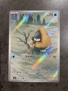 ユキワラシ AR 200/193