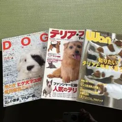 犬雑誌セット