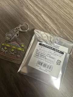 ウッドストック　ミニアクリルキーホルダー