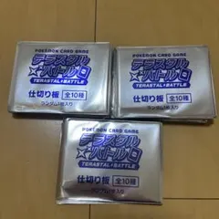 ポケモンカードゲーム　テラスタルバトル　仕切り板　100枚 仕切り板『闘(テラスタルバトル)』【サプライ】{-}