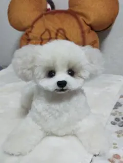Mr.jiangトリミング練習用 ウィッグ 犬 ビションフリーゼ　フルボディ Mr.jiangトリミング練習用 ウィッグ 犬 ビションフリーゼ フルボディ