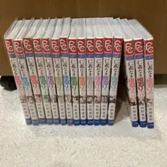 仁義なき婿取り 佐野愛莉 全巻セット 1-16巻