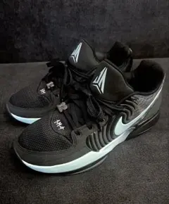 Nike ja 2 ティファニーカラー アルペン限定 完売 早い者勝ち