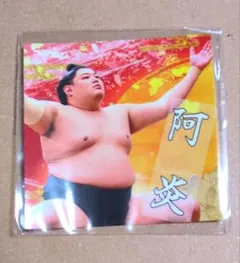 Item thumbnail for item 917ffbc3-9876-4426-aadc-9feb1368faa8