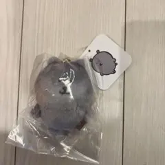 ナガノキャラクターズ カラーなナガノのくまマスコット（グレー）