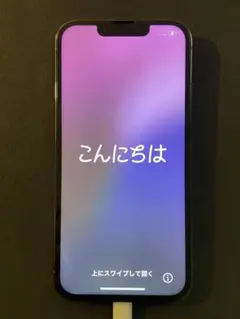 iPhone 13 Pro ブルー 256GB 本体 ※ジャンク品！