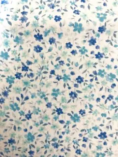 Item thumbnail for item ec686889-d189-40bd-9c56-162c4d690a64