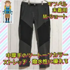 Item thumbnail for item ddf26ec5-12e4-4e3b-988d-f1b1c3a001e4