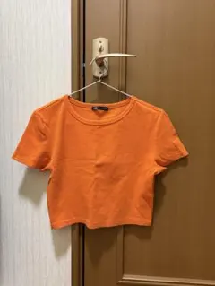 ZARA オレンジ クロップドTシャツ