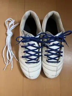 ⭐︎asics⭐︎ DS LIGHT JR GS⭐︎23.0㎝⭐︎紐未使用⭐︎③