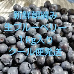 新鮮朝摘み 生ブルーベリー 1kg クール便発送のサムネイル