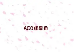 ACO様 リクエスト 2点 まとめ商品